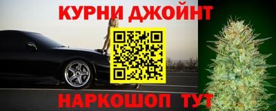 гидра Ливны