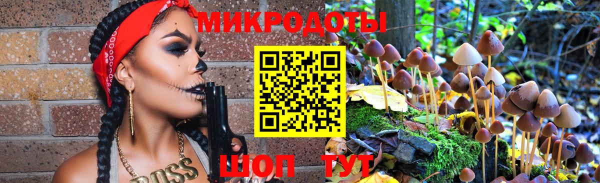 Видное  Галлюциногенные грибы прущие грибы  Вход с VPN  Псилоцибиновые грибы Psilocybe 